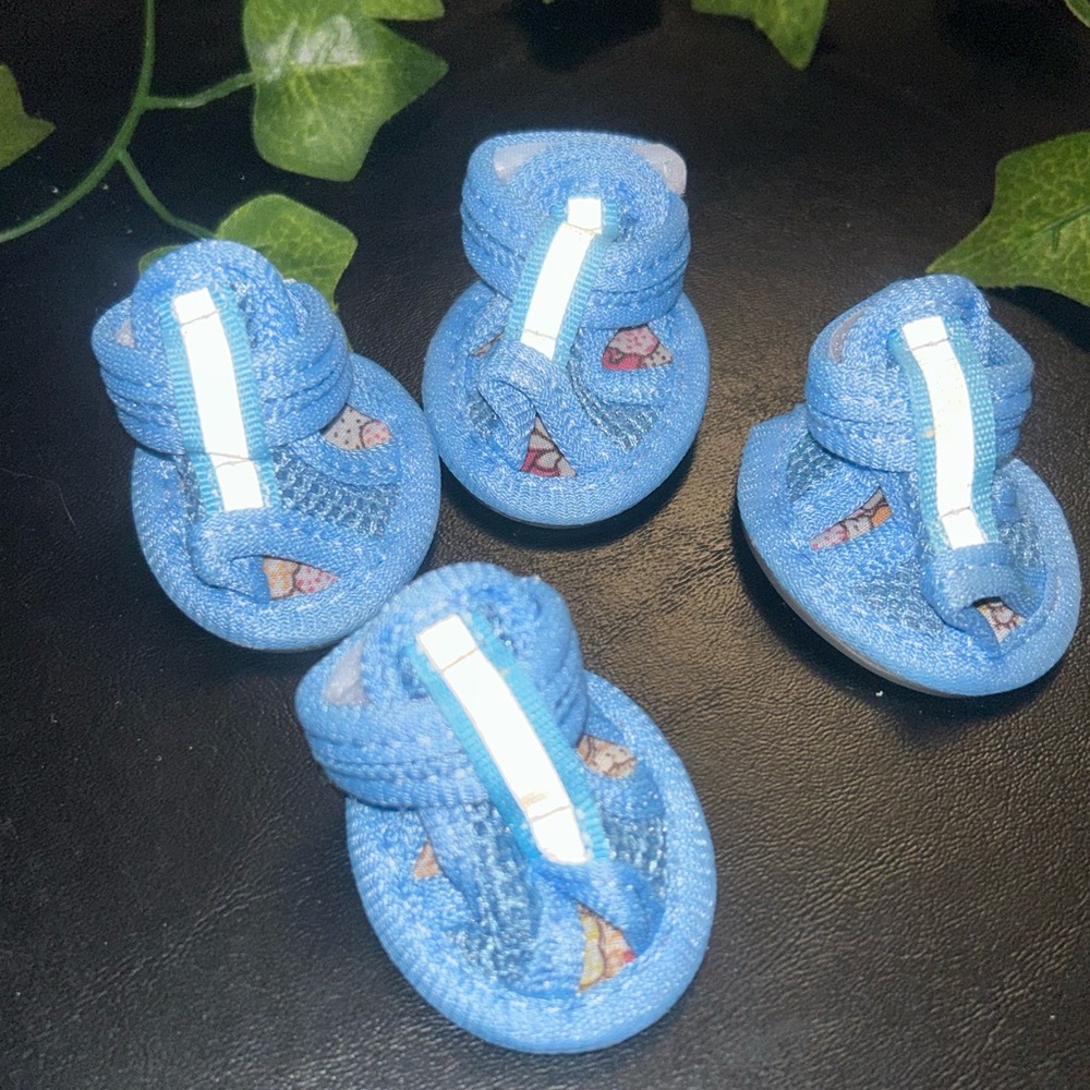 Blue Dog 🐕 size 2 Sandals